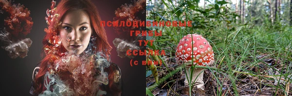 apvp Белокуриха