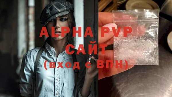 apvp Белокуриха